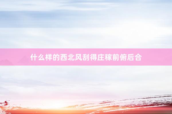 什么样的西北风刮得庄稼前俯后合